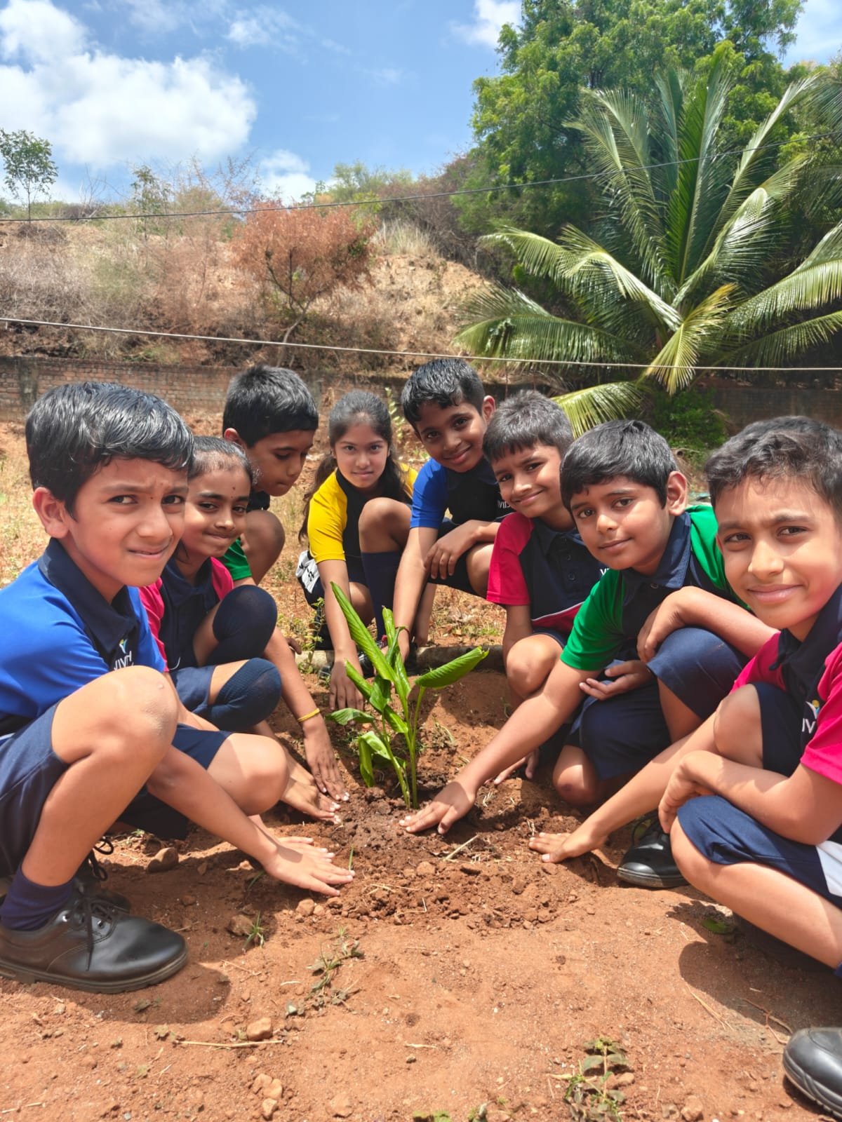 Vividh Schools